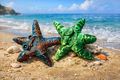 ⭐ Flexi Starfish Duo